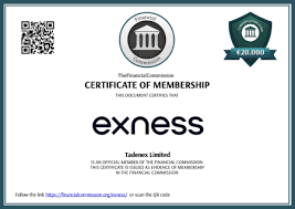 Exploring the Benefits of Exness Forex & CFDs